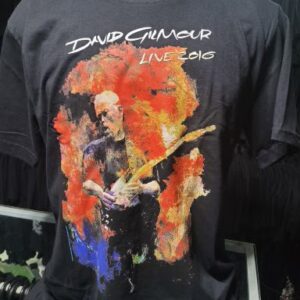 david gilmour