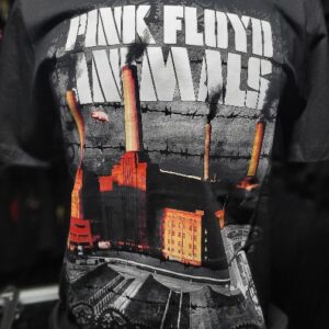 pink floyd