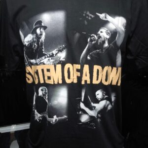 ststem of a down