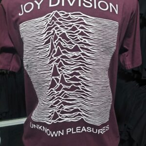 joy division